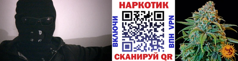 Купить наркотики цена Болгар Канабис  Гашиш 